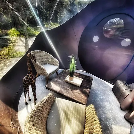 Les Perles Catalanes * Vinca